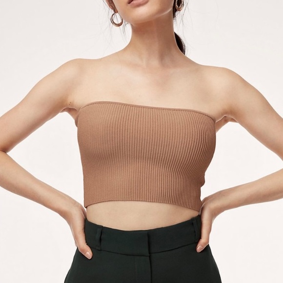 Aritzia Tops - Aritzia Babaton Tube Top